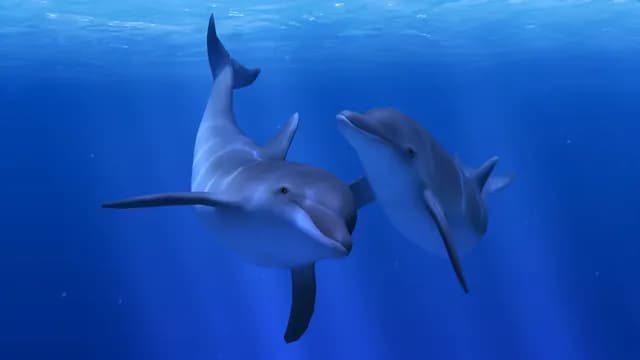 Обложка VR-игры «Ocean Rift»