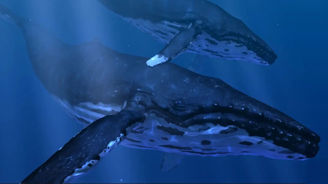Кадр 1 из VR-игры «Ocean Rift»